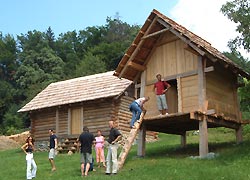 Hallstattzeitliches Gehöft am Burgstallkogel