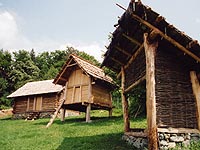 Hallstatt era farmstead