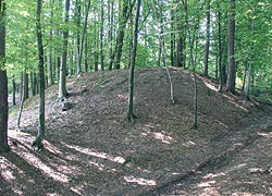 Hügelgrab am Burgstallkogel