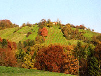 Burgstallkogel hill